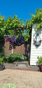 bestrating, Ophalen, Gebruikt, Klinkers, 10 m² of meer