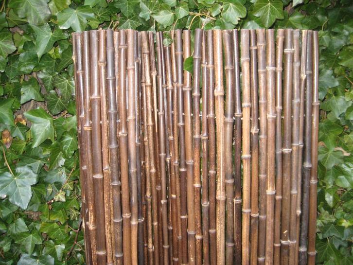 Bamboerolscherm zwart 180 x 180 cm, Tuin en Terras, Tuinschermen, Nieuw, Hout, 150 tot 200 cm, 150 tot 200 cm, Ophalen
