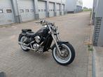 Vn800 classic, Particulier, Chopper