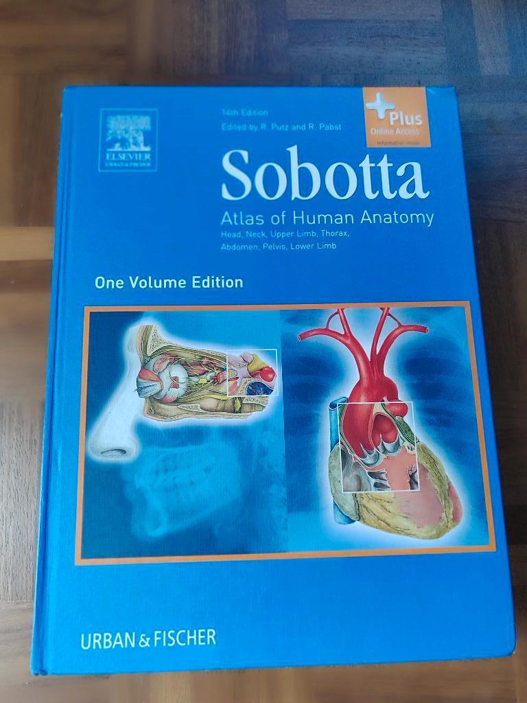 Studieboek Geneeskunde; Sobotta Anatomie, Ophalen of Verzenden, Beta, Zo goed als nieuw, WO