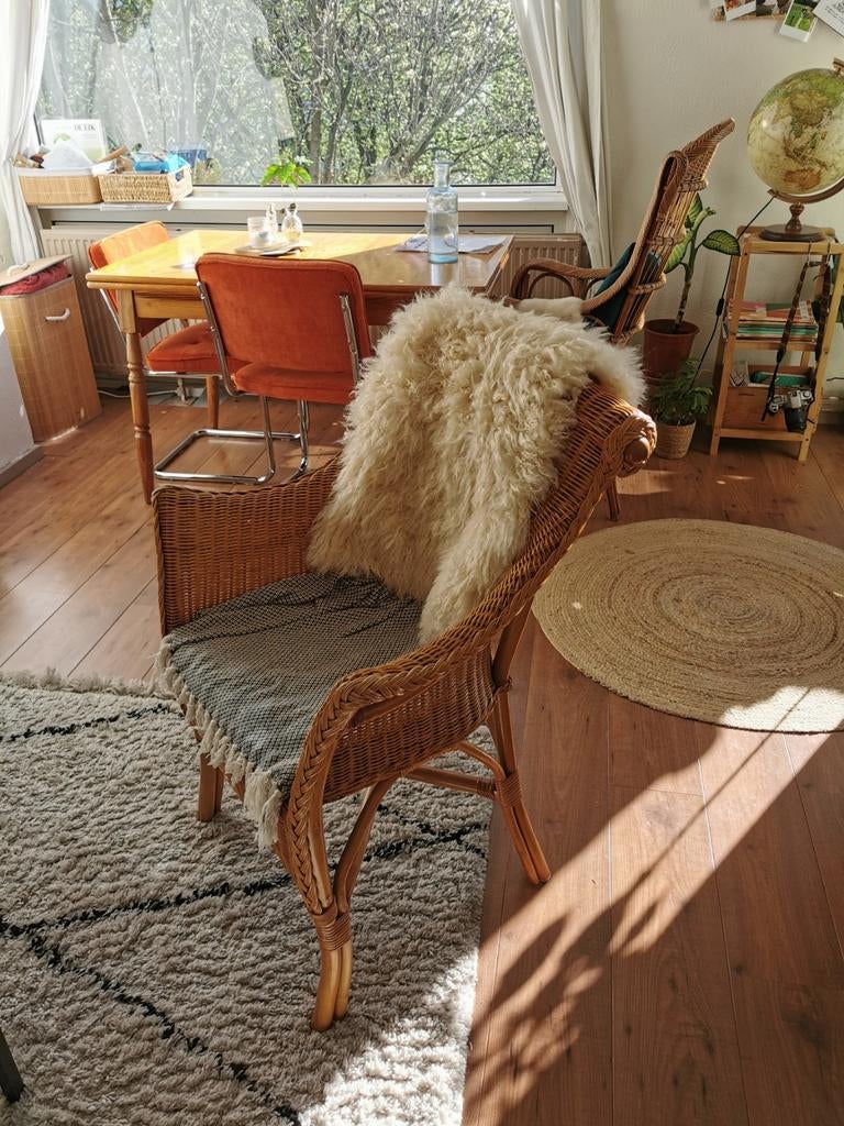 Rieten rotan stoel, Huis en Inrichting, Stoelen, Ophalen, Zo goed als nieuw, Bruin, Eén