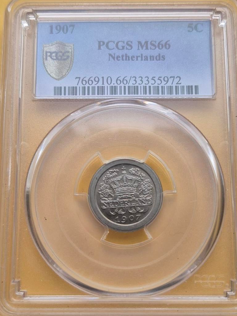 5 cent 1907 PCGS MS 66 - Hoge punten, mooie munt, Postzegels en Munten, Munten | Nederland, Ophalen of Verzenden, Koningin Wilhelmina