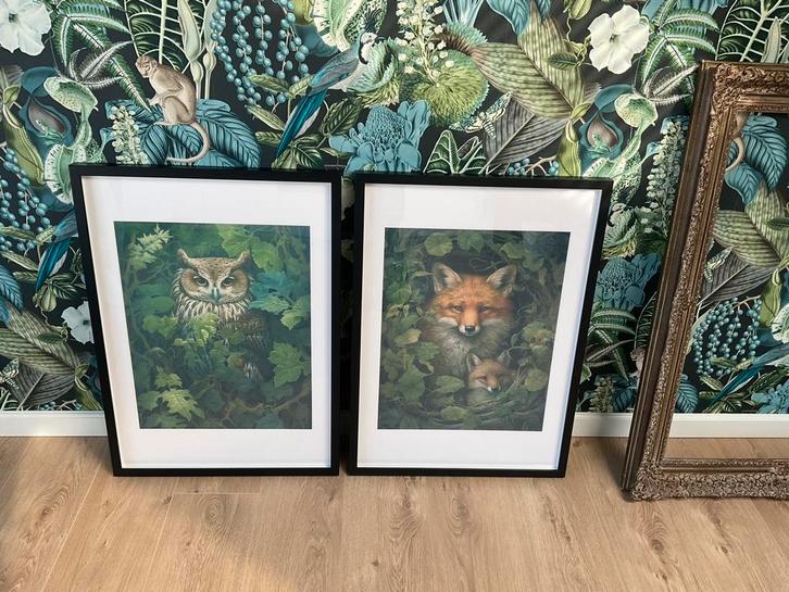 Nieuw! Set leuke prints in mooie zwarte baklijst vos en uil, Huis en Inrichting, Woonaccessoires | Lijsten, Nieuw, 50 tot 75 cm