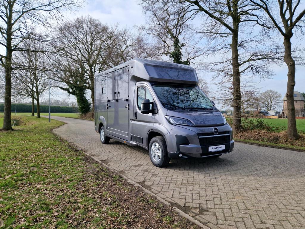 Opel Movano AKX S3 nieuw paardenwagen Automaat Pro-safety he, Dieren en Toebehoren, Paarden en Pony's | Trailers en Aanhangwagens