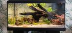 Juwel aqarium, Dieren en Toebehoren, Vissen | Aquaria en Toebehoren, Ophalen, Zo goed als nieuw