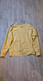 Patta sweater, Maat 52/54 (L), Geel, Ophalen of Verzenden, Patta