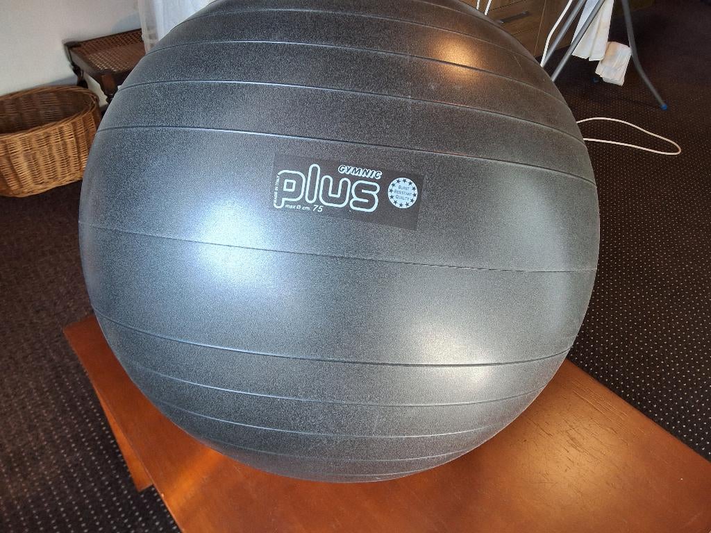 Fysiobal, Ophalen, Gebruikt, Rug, Fitnessbal