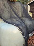 Voordroog midi balen, Dieren en Toebehoren, Dierenvoeding, Ophalen of Verzenden, Vee