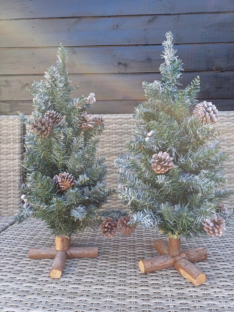 2kleine kerstboompjes.gratis!!, Diversen, Ophalen