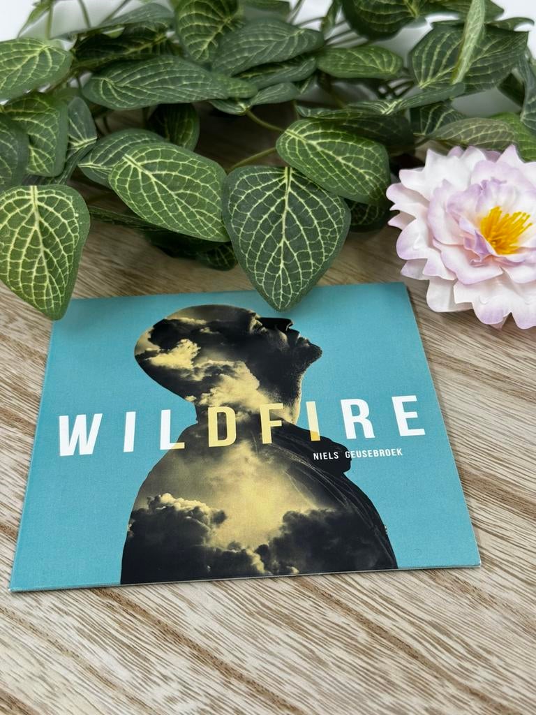 Niels geusebroek - wildfire - cd - in goede staat, Ophalen of Verzenden, Zo goed als nieuw