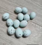 Porseleinen goudvink eieren, sijzen etc, Dieren en Toebehoren, Geslacht onbekend, Wildzangvogel, Geringd