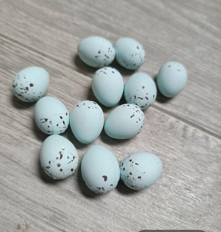 Porseleinen goudvink eieren, sijzen etc, Dieren en Toebehoren, Vogels | Overige Vogels, Wildzangvogel, Geslacht onbekend, Geringd