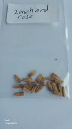 Roze Zonnehoed zaden - Echinacea Purpurea, Ophalen of Verzenden, Nieuw