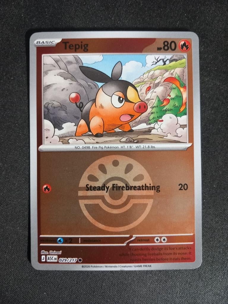 Pokemon Tepig 029/217 Ascended Heroes Reverse Ball Excellent, Verzenden, Zo goed als nieuw, Losse kaart, Foil