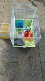 Hamsterkooi met inrichting, Dieren en Toebehoren, Minder dan 60 cm, Minder dan 75 cm, Ophalen of Verzenden, Zo goed als nieuw