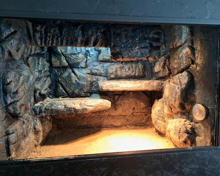 OSB terrarium 60x50x50 met 3D achterwand., Dieren en Toebehoren, Reptielen en Amfibieën | Toebehoren, Gebruikt, Terrarium of Paludarium