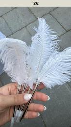 VEER PENNEN – STIJLVOL VOOR BRUILOFT / GASTENBOEK, Ophalen