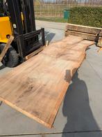 Iepen boomstam bladen 100cm doorsnee !!, Palen, Ophalen of Verzenden, Zo goed als nieuw, Hardhout