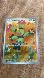 Maractus ar jap, Ophalen of Verzenden, Zo goed als nieuw