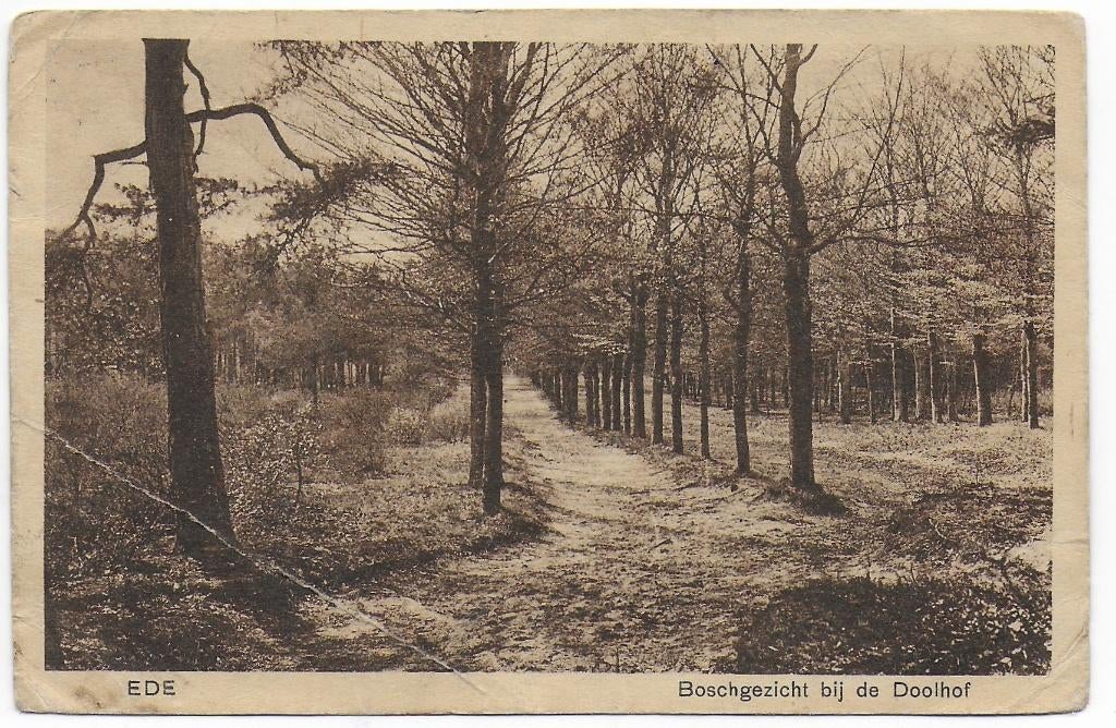 Ede De Doolhof Ansichtkaart Uit 1921 ( B7235), Verzamelen, Ansichtkaarten | Nederland, Ophalen of Verzenden, 1920 tot 1940, Gelopen