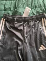 Adidas Tiro 23 Trainingsbroek - Nieuw met labels, Ophalen of Verzenden, Nieuw, Jongen, Broek