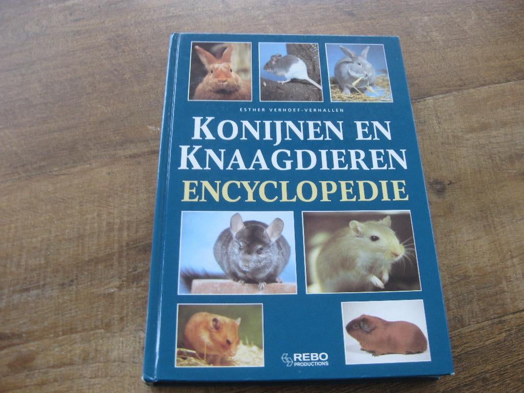 Konijnen & Knaagdieren Encyclopedie / E. Verhoef-Verhallen, Ophalen of Verzenden, Zo goed als nieuw, Konijnen of Knaagdieren, E.J.J. Verhoef-Verhallen