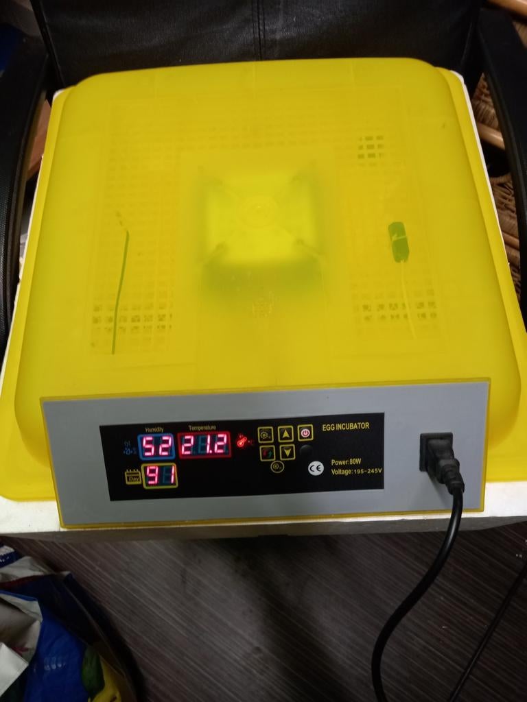 Egg incubator, Ophalen of Verzenden