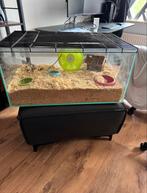 Hamsterkooi met toebehoren, Ophalen, Zo goed als nieuw, Overige typen