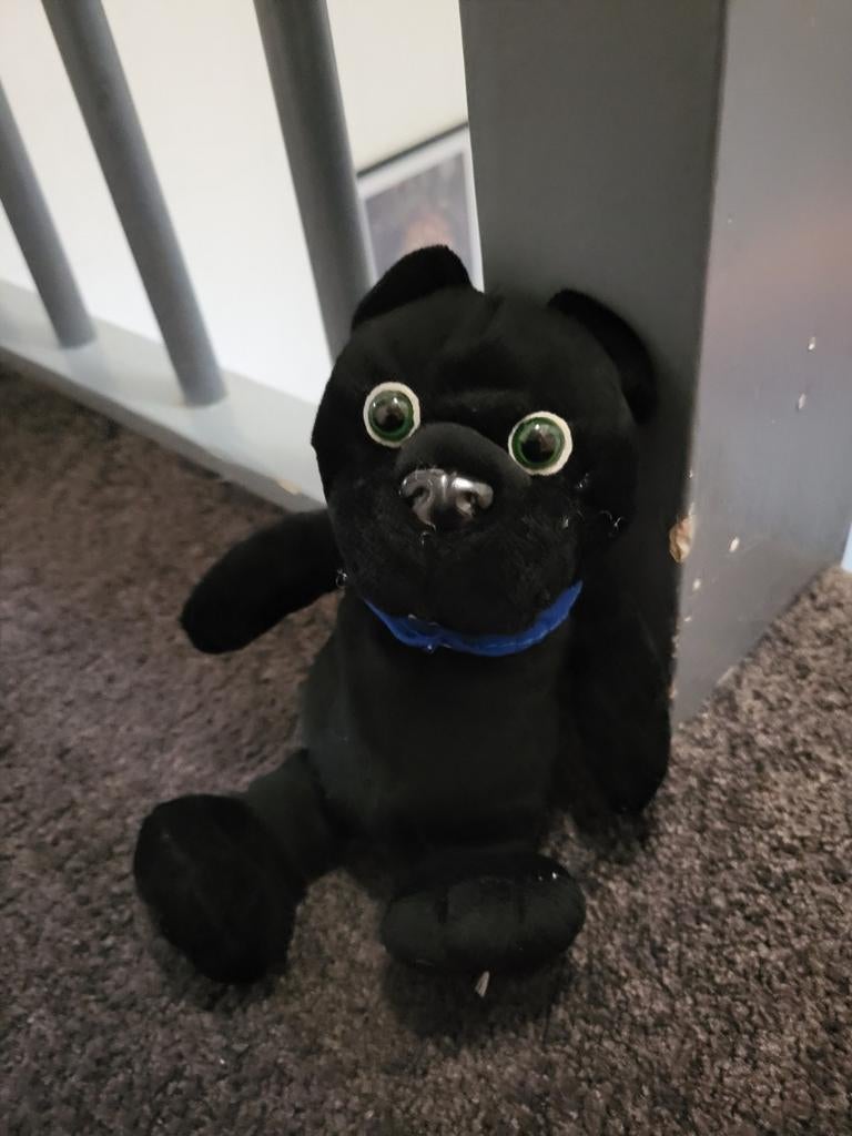 Zwarte panter knuffel, Ophalen of Verzenden, Zo goed als nieuw, Overige typen