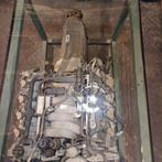 Motorblok mercedes v8 5.5 benzine automaat, Ophalen of Verzenden