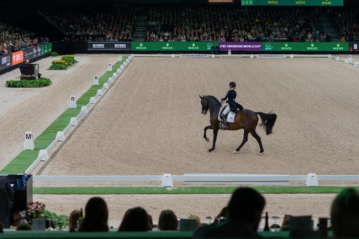 Dressuurpistes 20x60m uit verhuur. Outlet prijs, 30% korting, Dieren en Toebehoren, Paarden en Pony's | Overige Paardenspullen