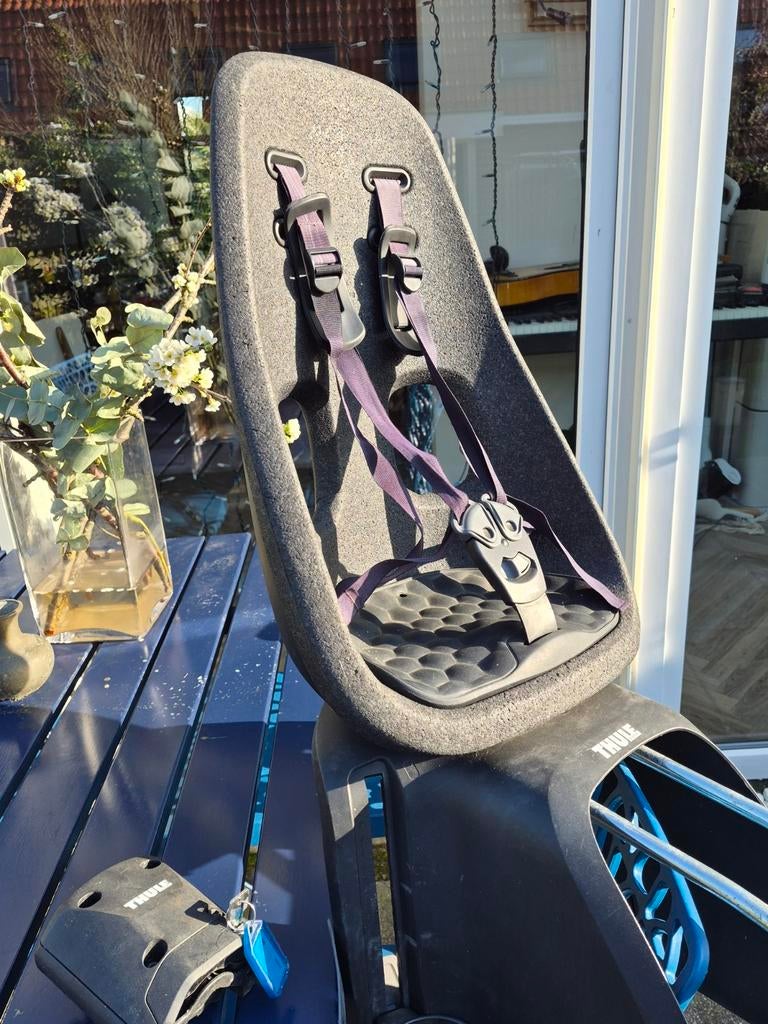 Thule fietsstoeltje achterop - Goede staat, Fietsen en Brommers, Fietsaccessoires | Fietsstoeltjes, Ophalen, Achterzitje, 9 t/m 18 kg