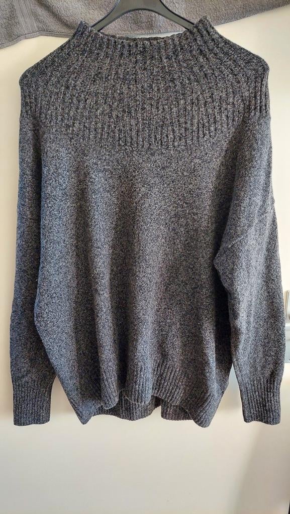 Trui maat xl. Merk Holebrook Sweden., Kleding | Dames, Truien en Vesten, Ophalen of Verzenden, Zo goed als nieuw