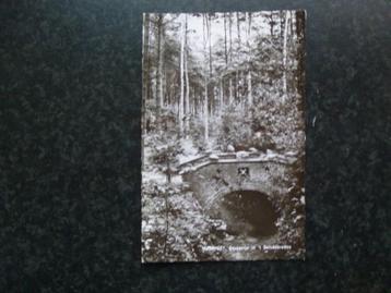 NUNSPEET  bruggetje in Belvederebos  1964       F beschikbaar voor biedingen