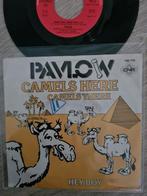 Pavlow/ Camels here camels there, Cd's en Dvd's, Vinyl Singles, Gebruikt, Ophalen of Verzenden, 7 inch, Single