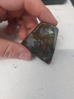 Stuk ammoliet uit Canada 6, Verzamelen, Mineralen en Fossielen, Ophalen of Verzenden