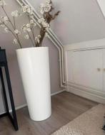 Bloesemboom, Ophalen, Zo goed als nieuw