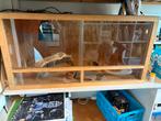 Terrarium (120x60x60) inclusief inrichting en lampen, Dieren en Toebehoren, Reptielen en Amfibieën | Toebehoren, Ophalen, Gebruikt