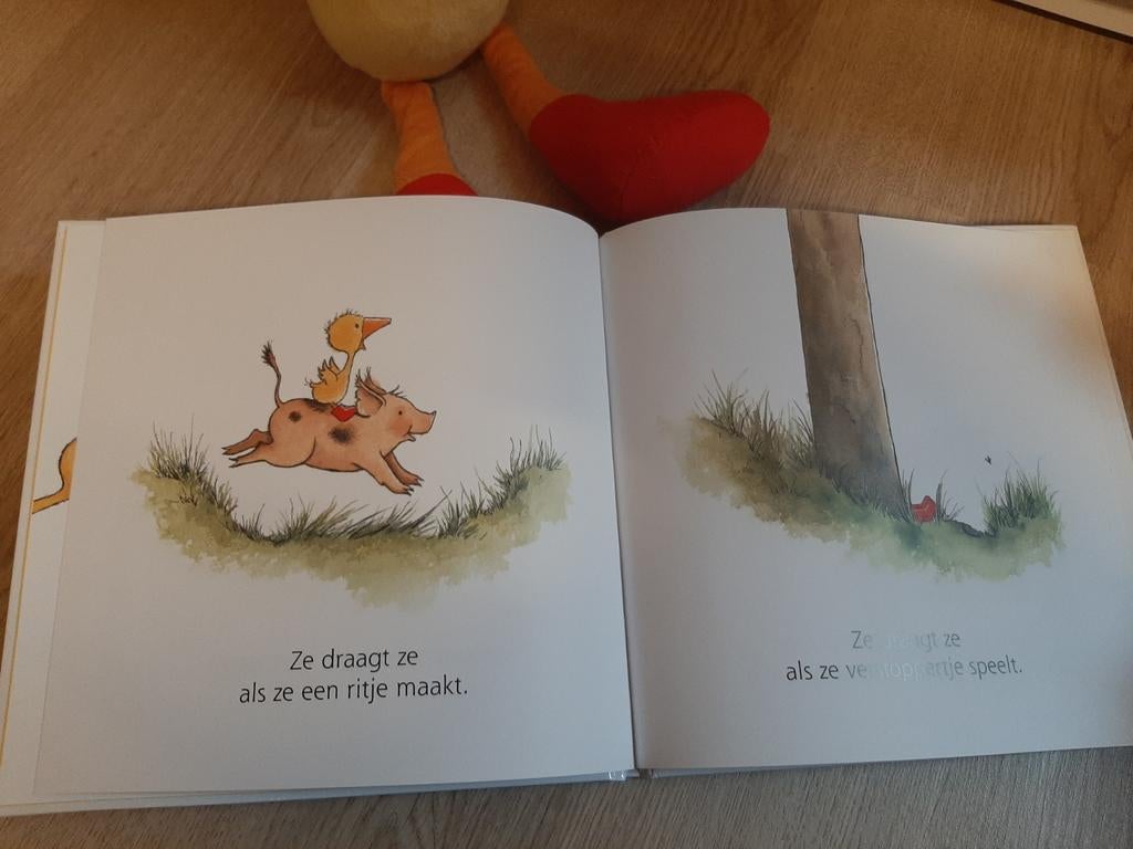 Gonnie knuffel met boek 27 cm, Ophalen of Verzenden