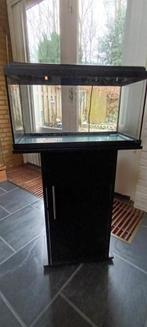 aquarium, Dieren en Toebehoren, Vissen | Aquaria en Toebehoren, Ophalen, Gebruikt, Gevuld zoetwateraquarium
