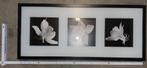 fotoframe 30 x 70 cm met dieptewerking voor 3 fotos, Ophalen of Verzenden, Nieuw