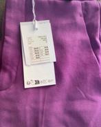 Fransa broek - Nieuw, maat 34 (valt als 36), Ophalen of Verzenden, Nieuw, Maat 34 (XS) of kleiner, Paars
