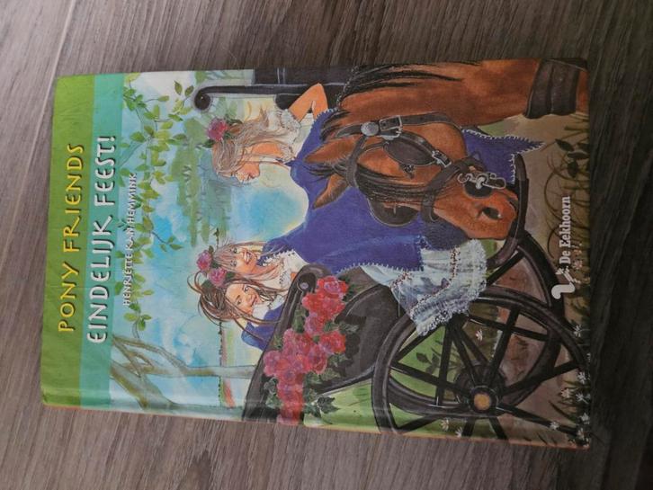 Henriette Kan-Hemmink - Eindelijk feest!, Boeken, Kinderboeken | Jeugd | 10 tot 12 jaar, Zo goed als nieuw, Ophalen