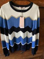 Studio Anneloes trui, Kleding | Dames, Truien en Vesten, Ophalen of Verzenden, Nieuw