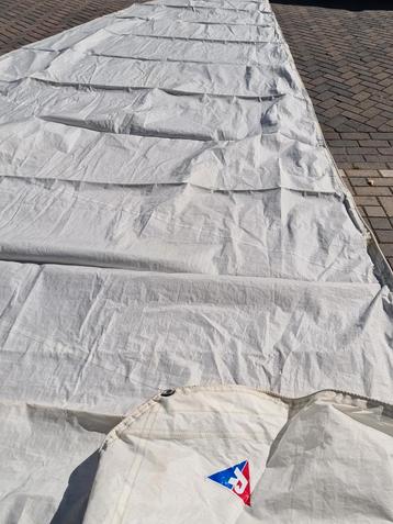 Grootzeil met pees beschikbaar voor biedingen