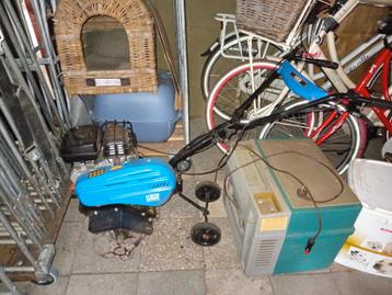 Tuinfrees te koop ‼️ beschikbaar voor biedingen
