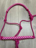 Nieuw touhalster maat cob!, Ophalen of Verzenden, Nieuw, Overige soorten