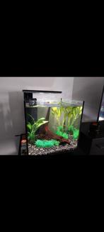 Superfish aquarium 60 liter kubus zwart., Dieren en Toebehoren, Vissen | Aquaria en Toebehoren, Ophalen, Gebruikt, Leeg aquarium