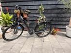Koga E -Nova Evo E-Bike [Bosch] 625kw] R-aandrijving 8692 km, 51 tot 55 cm, Ophalen, Zo goed als nieuw, Overige merken