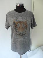 Grijs ruim tshirt met opdruk leeuw Hollister, - XS, Ophalen of Verzenden, Zo goed als nieuw, Korte mouw, Maat 34 (XS) of kleiner
